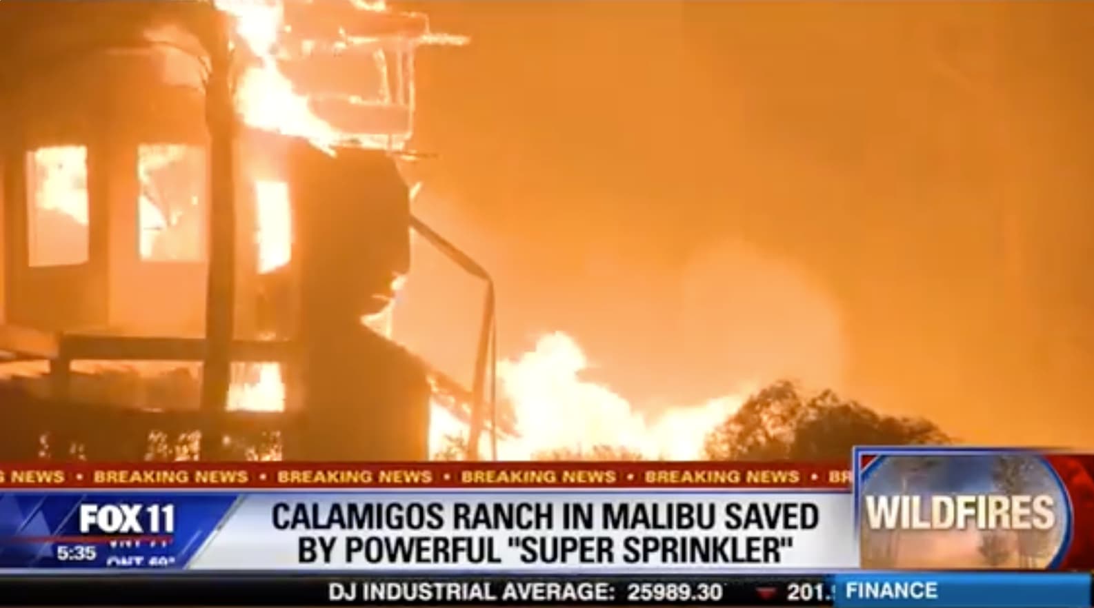 FOX 11 feature